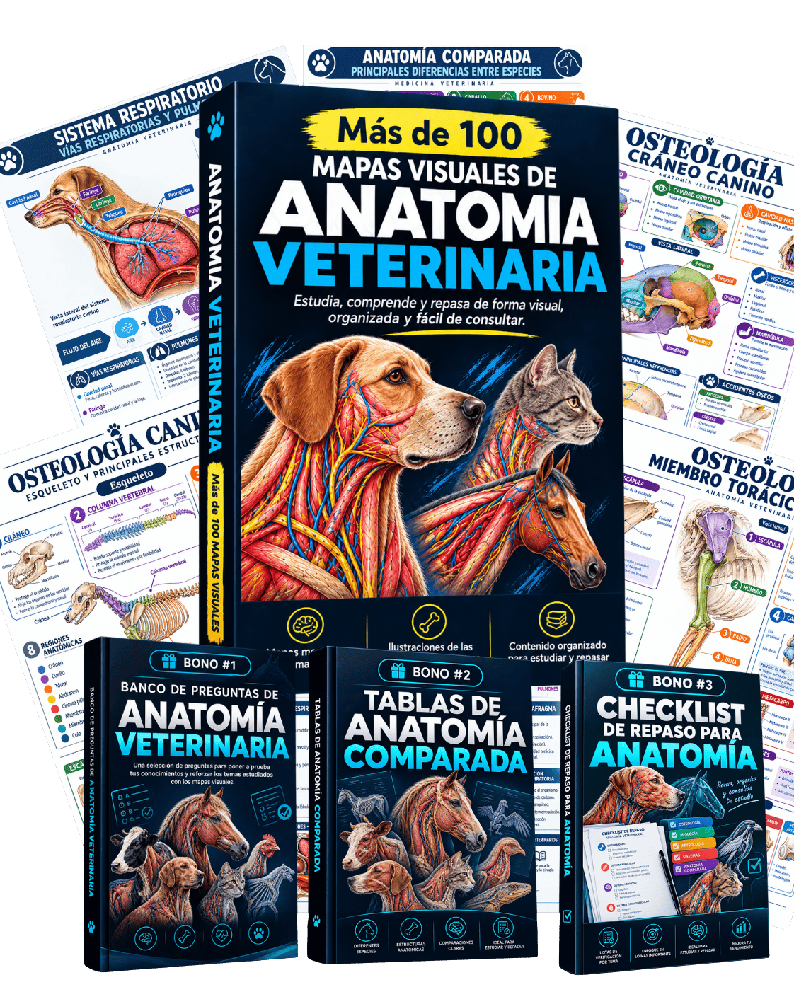 Todo el material de Anatomía Veterinaria con los bonos incluidos
